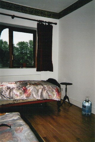 Downstairs Guest Bedroom with View