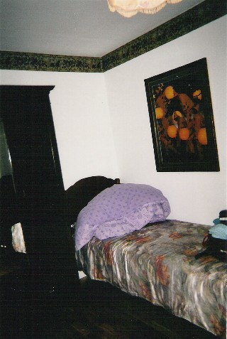 Downstairs Guest Bedroom