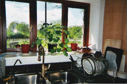 View From the Kitchen