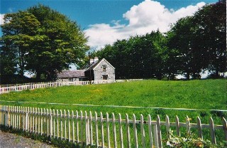 Woodlands